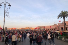 Фотогалерея